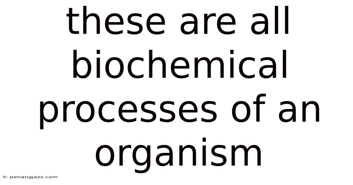 These Are All Biochemical Processes Of An Organism