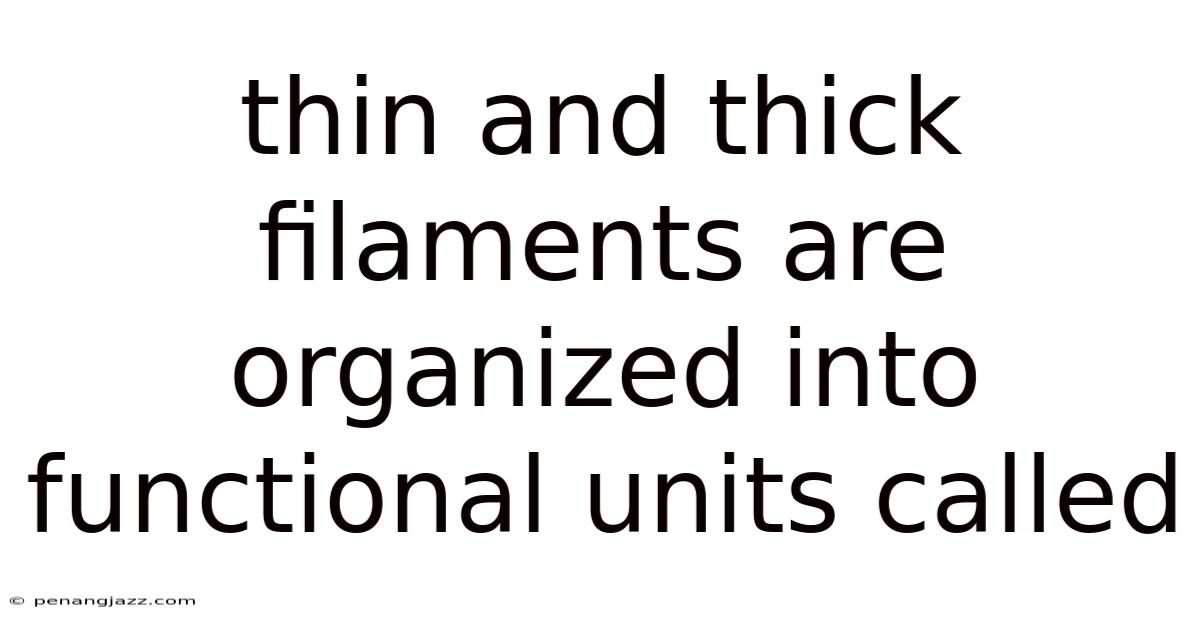 Thin And Thick Filaments Are Organized Into Functional Units Called