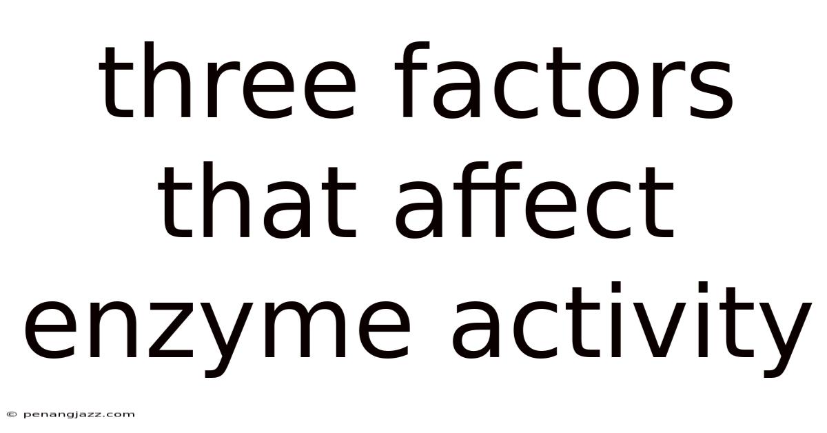 Three Factors That Affect Enzyme Activity