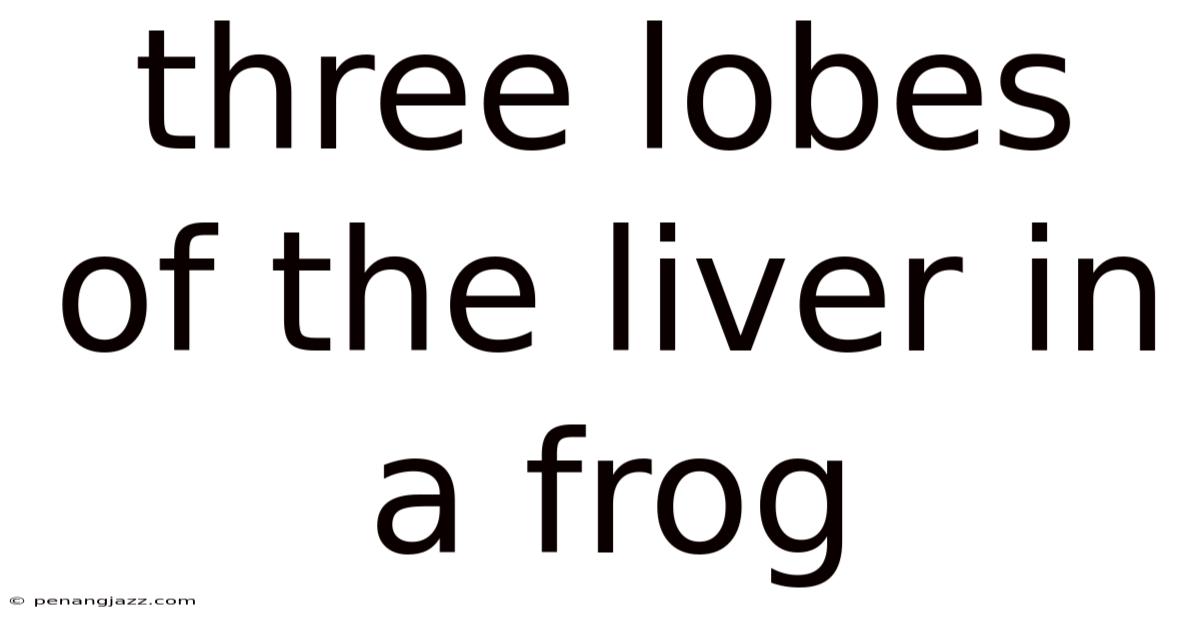 Three Lobes Of The Liver In A Frog