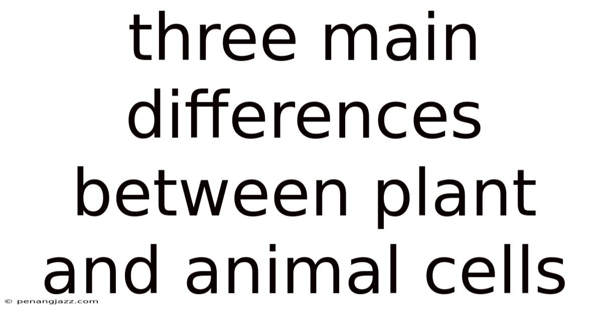 Three Main Differences Between Plant And Animal Cells
