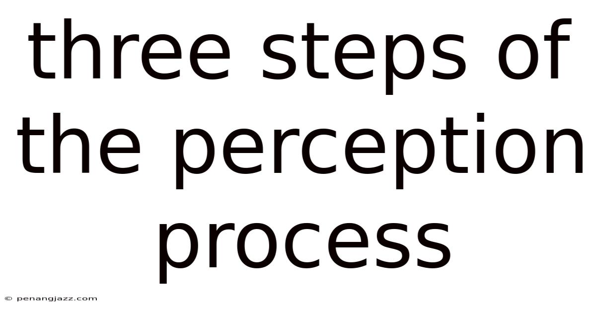 Three Steps Of The Perception Process