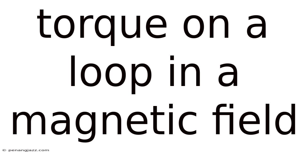 Torque On A Loop In A Magnetic Field