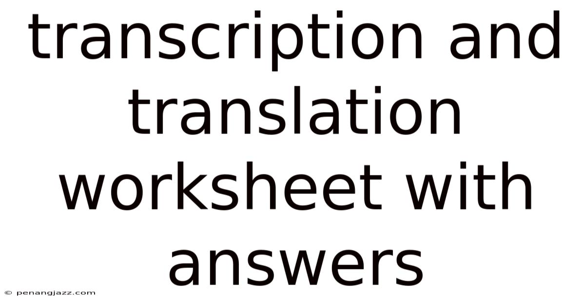 Transcription And Translation Worksheet With Answers