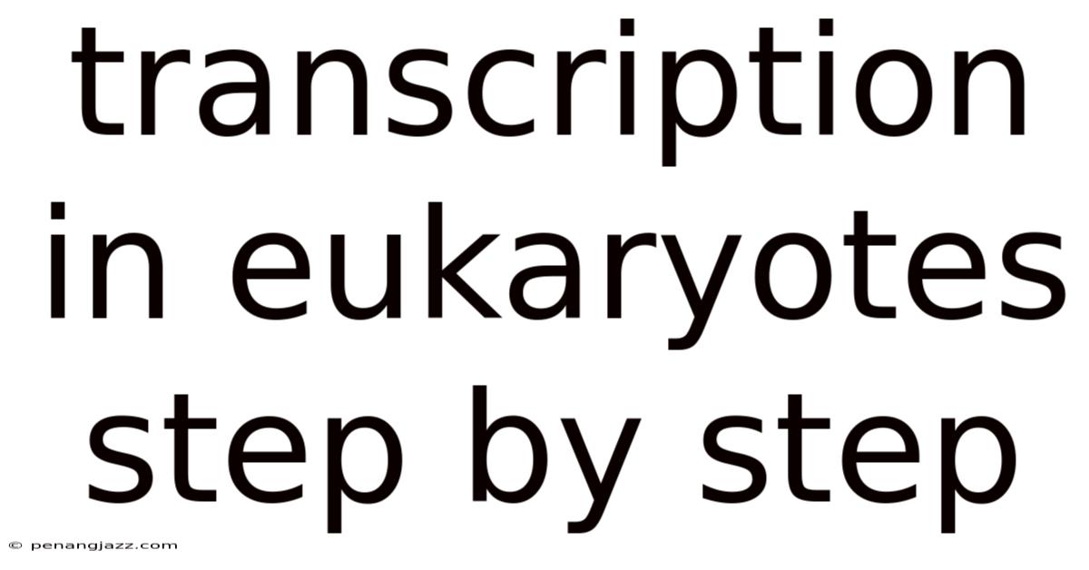 Transcription In Eukaryotes Step By Step