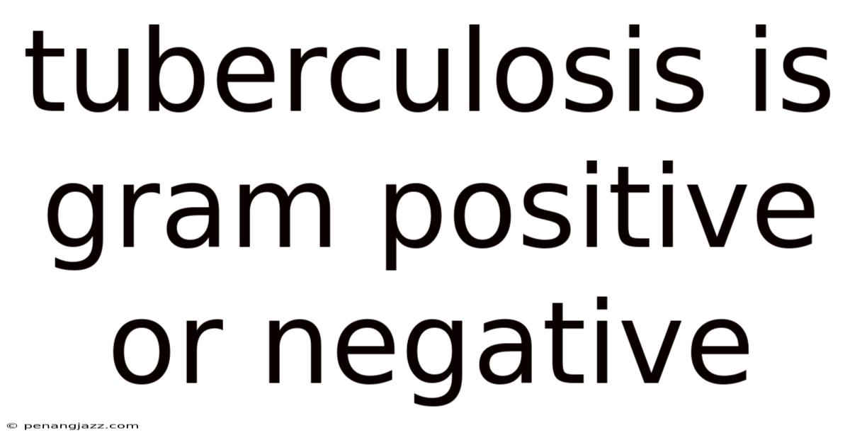 Tuberculosis Is Gram Positive Or Negative