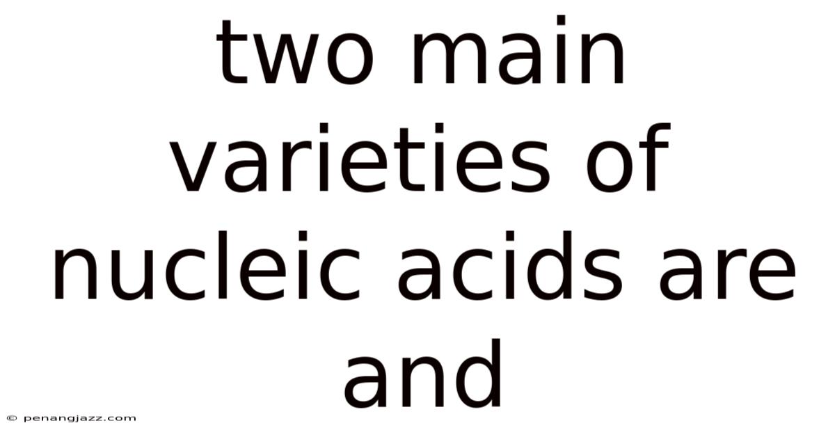 Two Main Varieties Of Nucleic Acids Are And