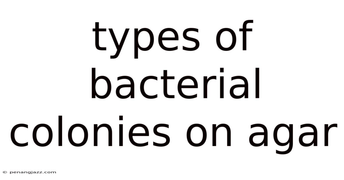 Types Of Bacterial Colonies On Agar