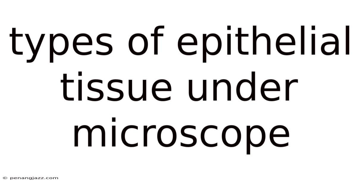 Types Of Epithelial Tissue Under Microscope
