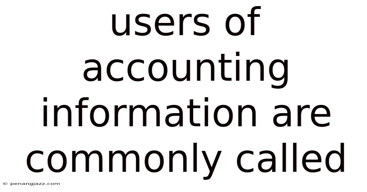 Users Of Accounting Information Are Commonly Called
