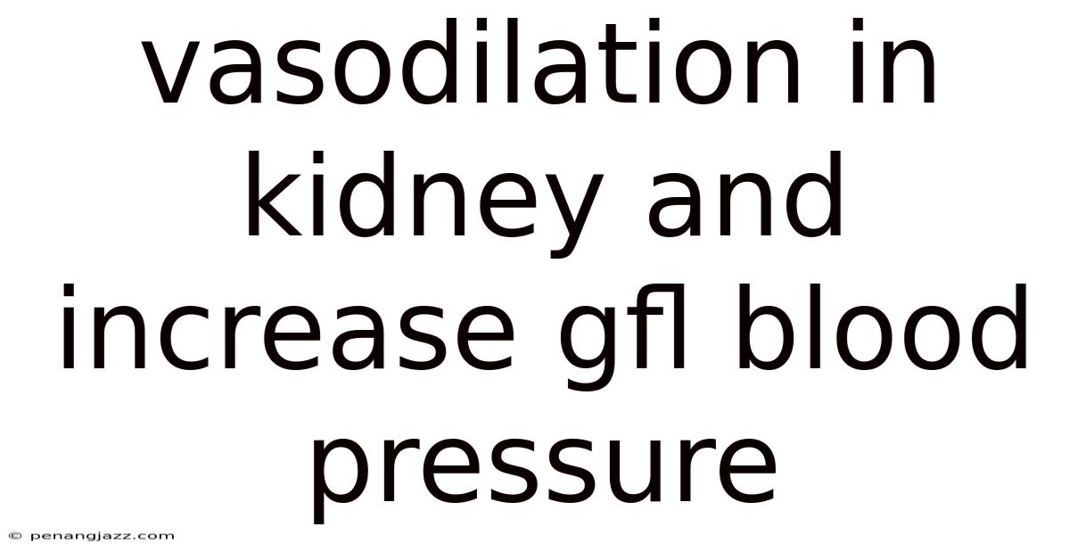 Vasodilation In Kidney And Increase Gfl Blood Pressure