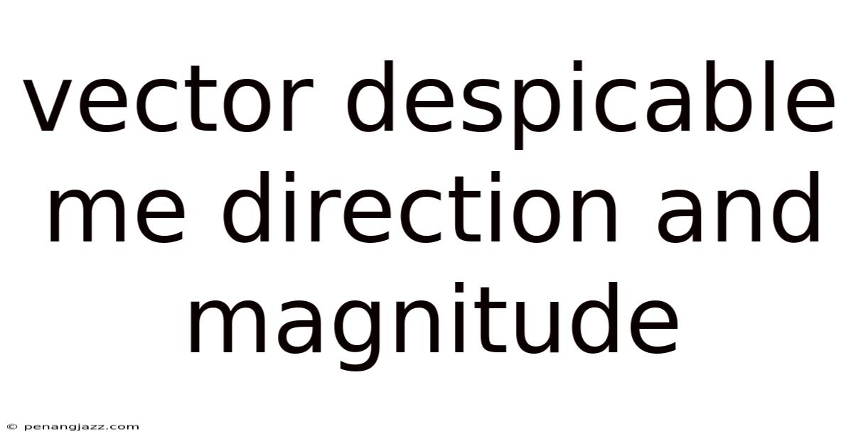 Vector Despicable Me Direction And Magnitude