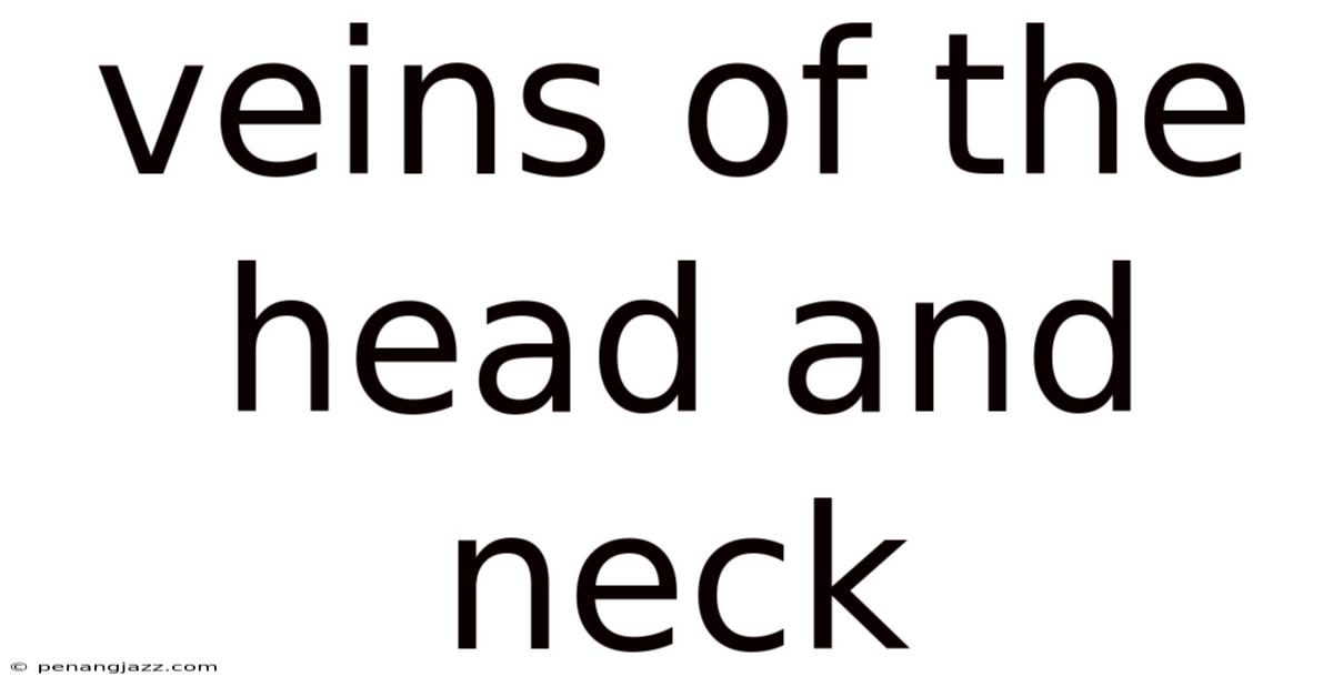 Veins Of The Head And Neck