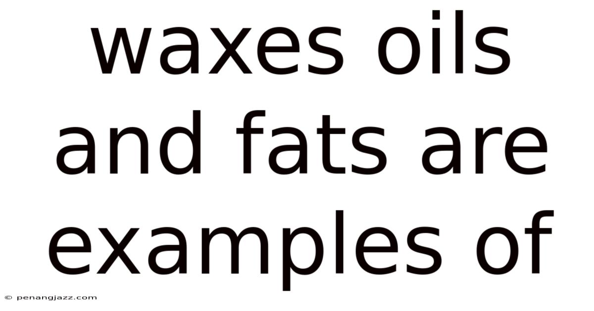 Waxes Oils And Fats Are Examples Of