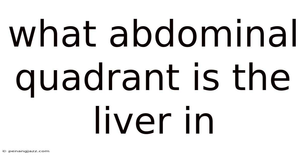 What Abdominal Quadrant Is The Liver In