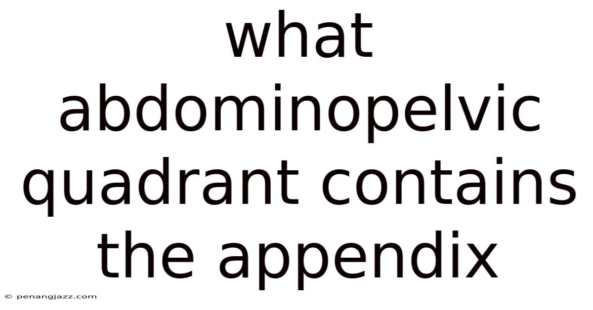 What Abdominopelvic Quadrant Contains The Appendix