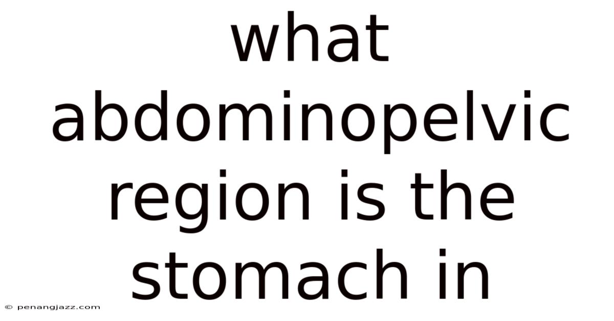 What Abdominopelvic Region Is The Stomach In