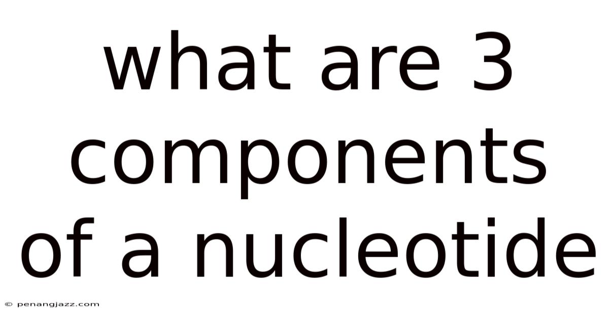 What Are 3 Components Of A Nucleotide