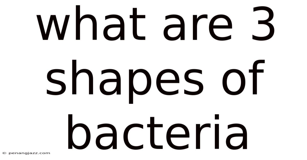 What Are 3 Shapes Of Bacteria