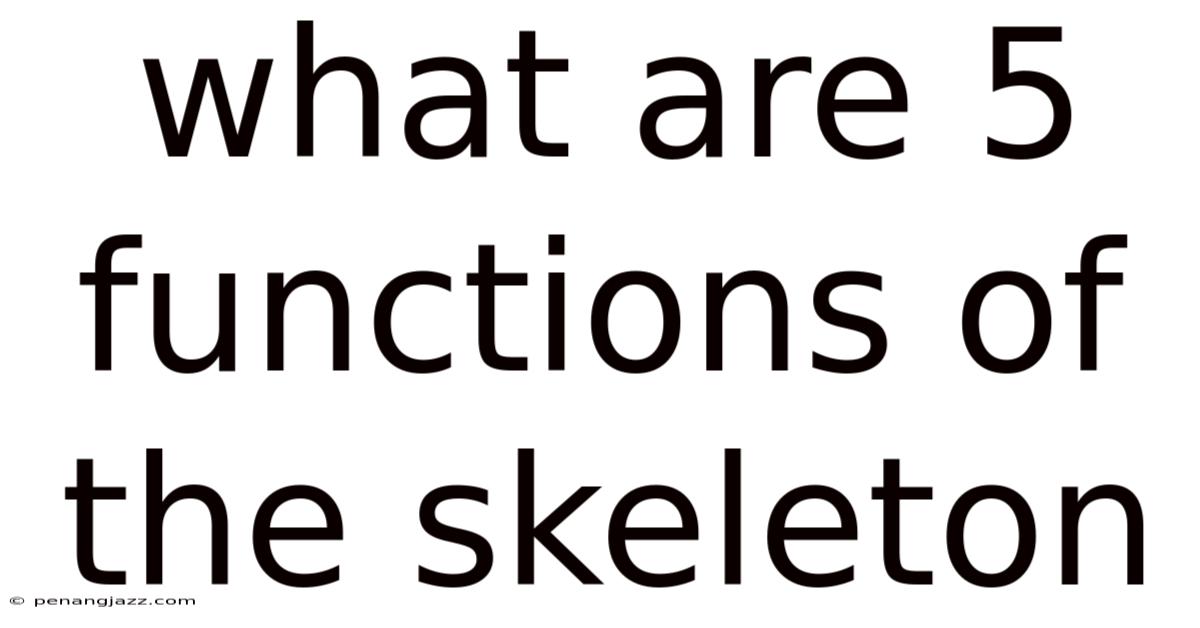 What Are 5 Functions Of The Skeleton