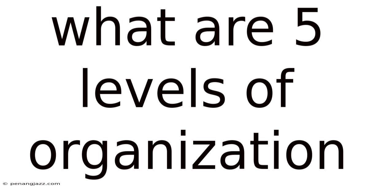 What Are 5 Levels Of Organization