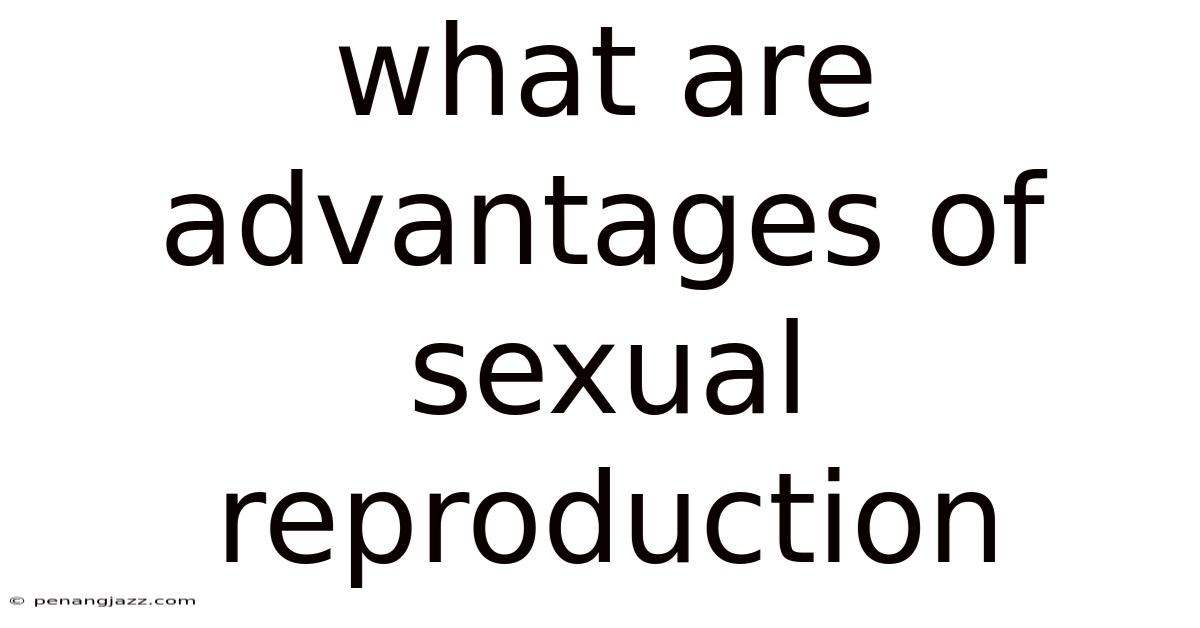 What Are Advantages Of Sexual Reproduction