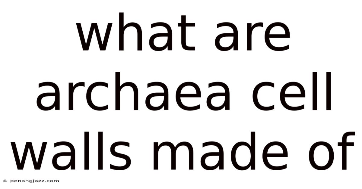 What Are Archaea Cell Walls Made Of