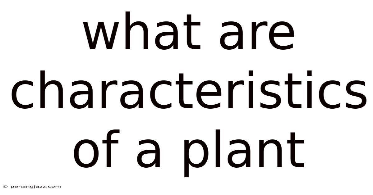 What Are Characteristics Of A Plant