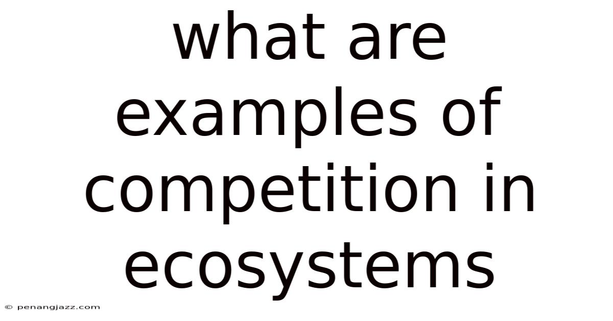 What Are Examples Of Competition In Ecosystems