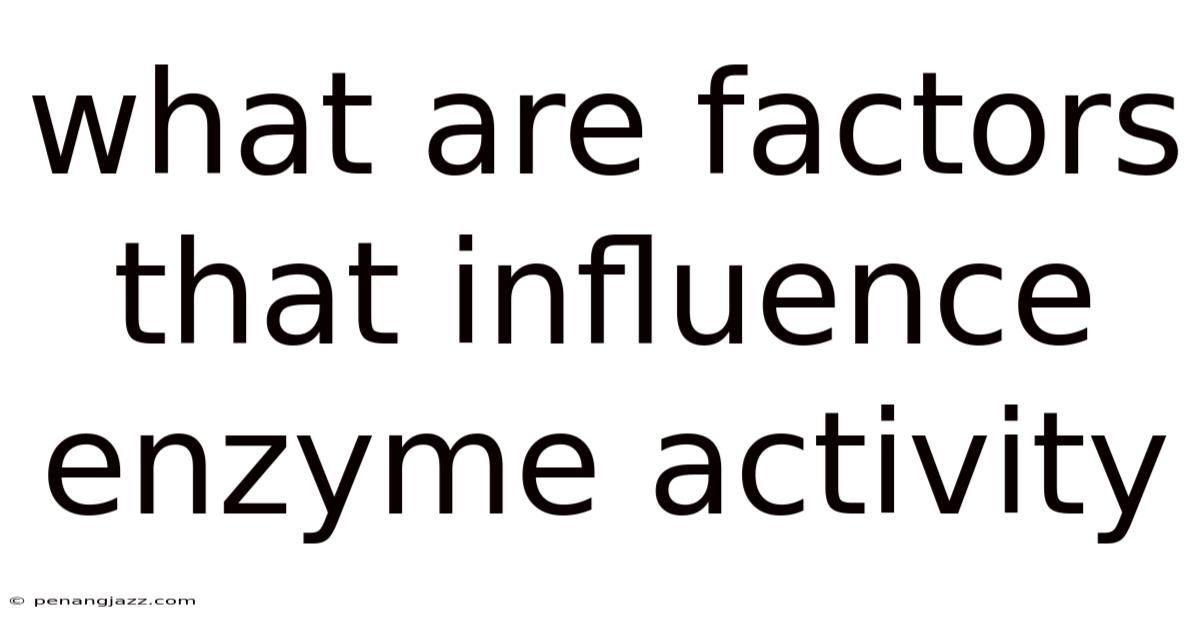 What Are Factors That Influence Enzyme Activity