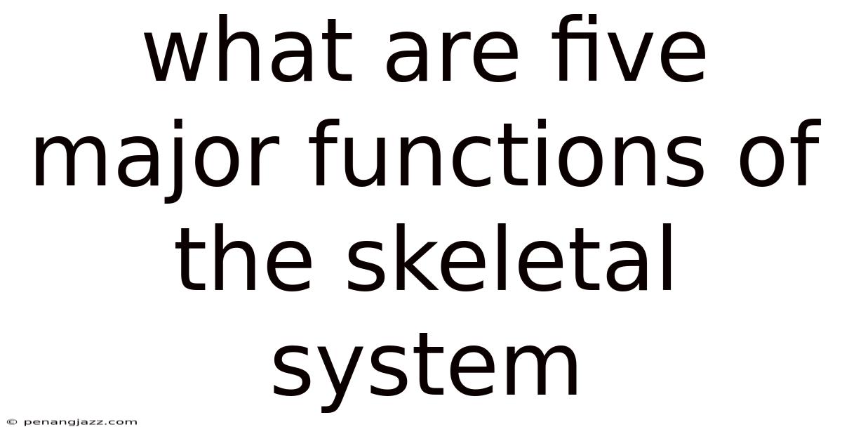 What Are Five Major Functions Of The Skeletal System