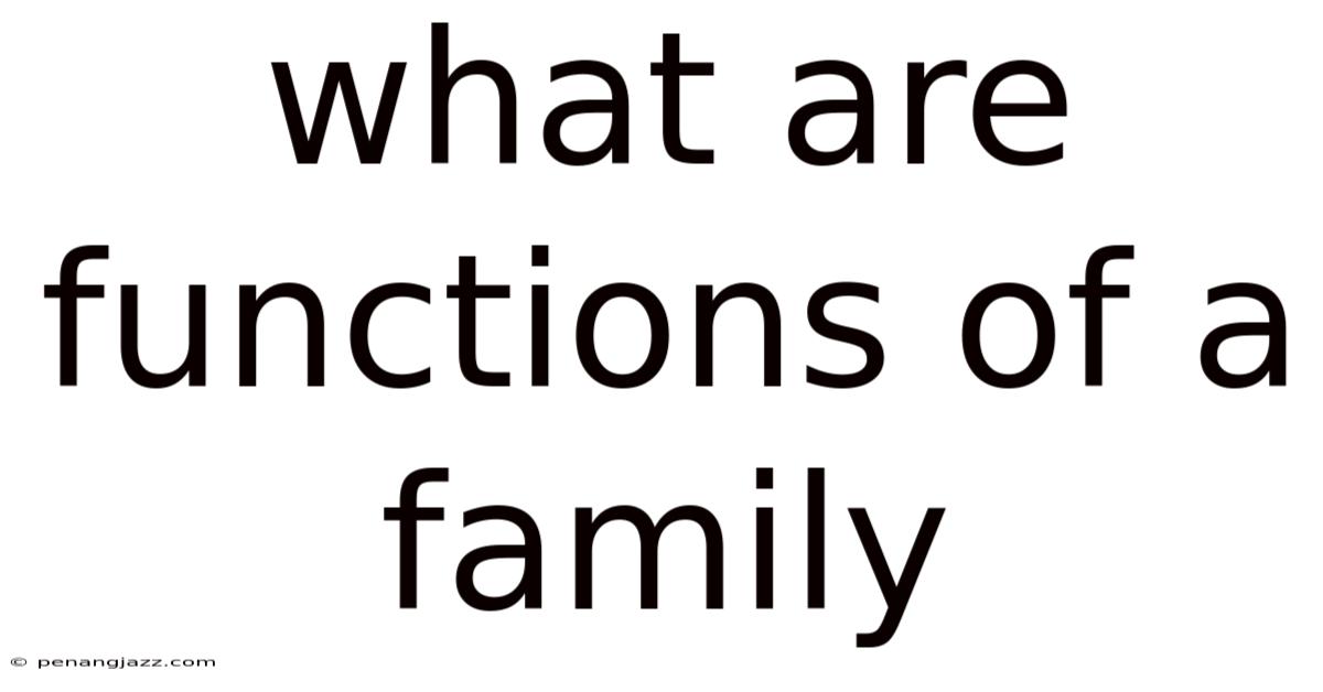 What Are Functions Of A Family