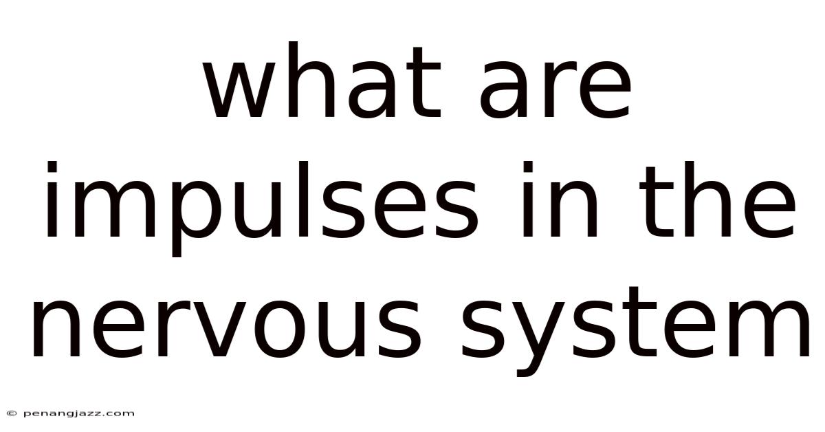 What Are Impulses In The Nervous System
