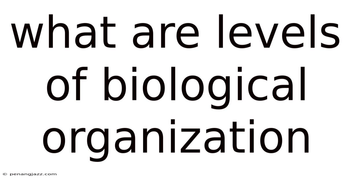 What Are Levels Of Biological Organization