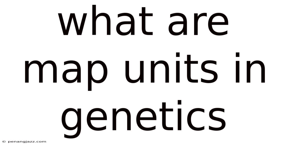 What Are Map Units In Genetics