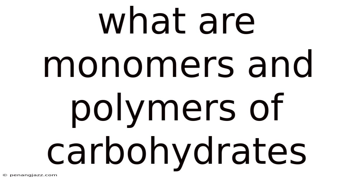 What Are Monomers And Polymers Of Carbohydrates