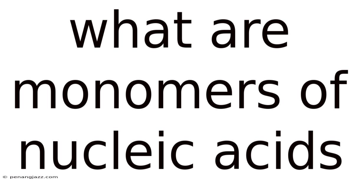 What Are Monomers Of Nucleic Acids