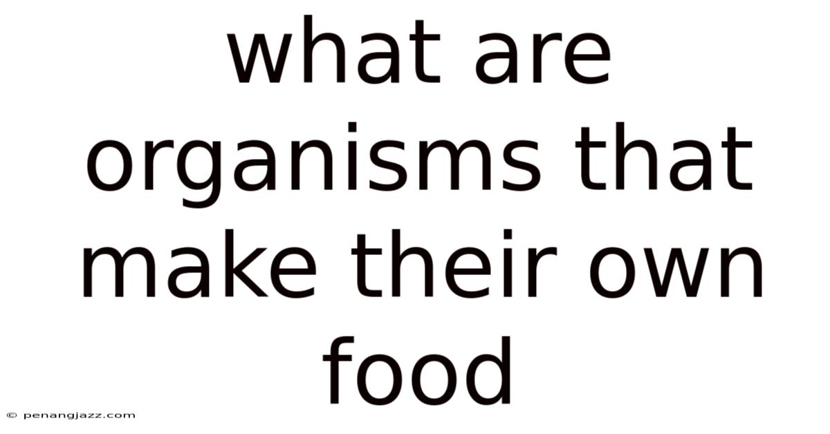 What Are Organisms That Make Their Own Food