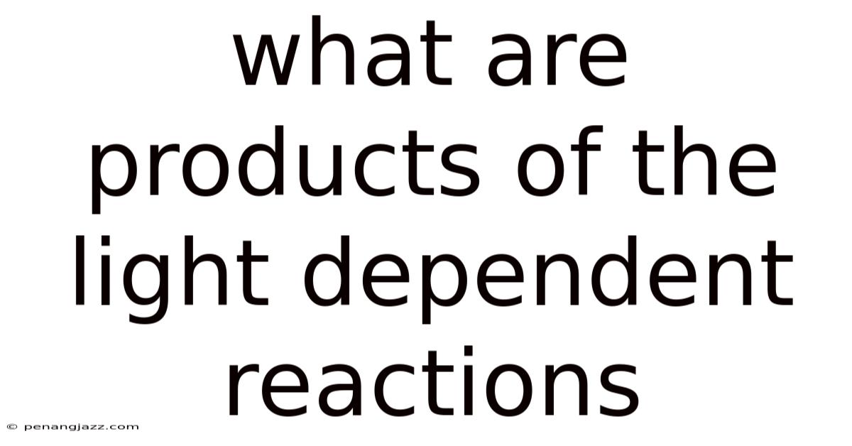 What Are Products Of The Light Dependent Reactions