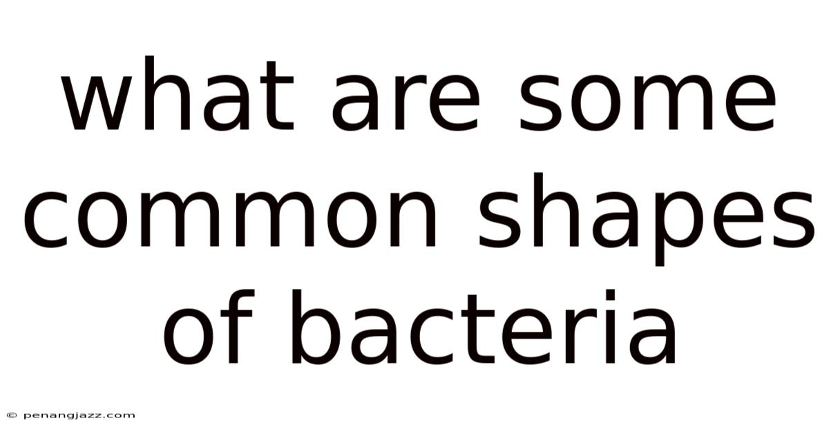 What Are Some Common Shapes Of Bacteria