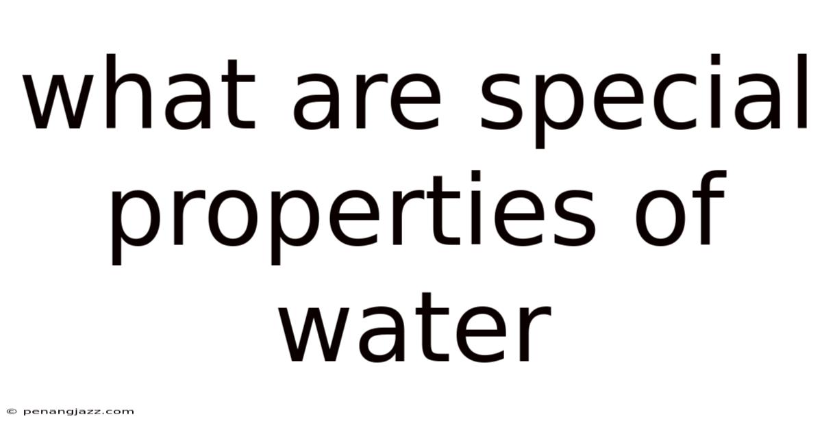 What Are Special Properties Of Water