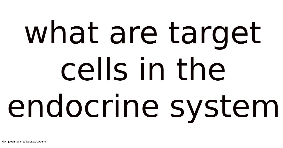 What Are Target Cells In The Endocrine System