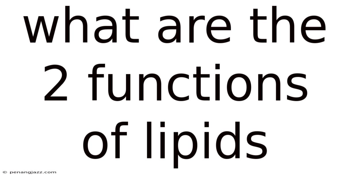 What Are The 2 Functions Of Lipids