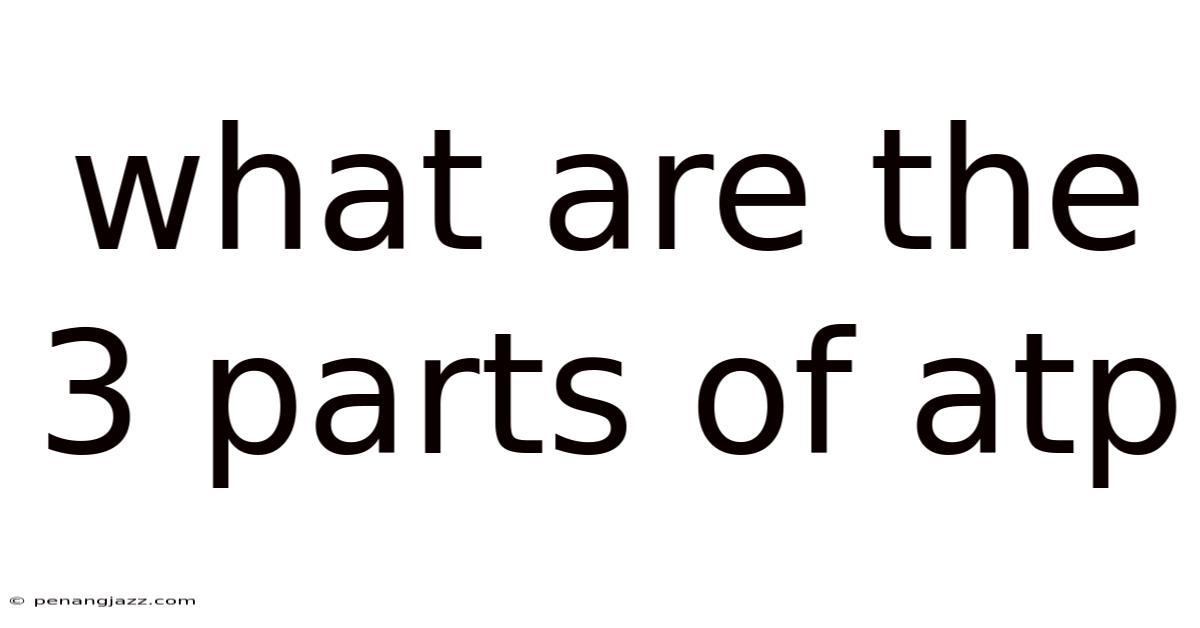 What Are The 3 Parts Of Atp