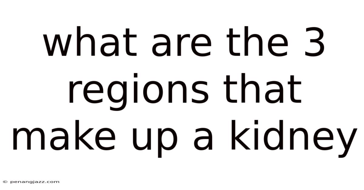 What Are The 3 Regions That Make Up A Kidney