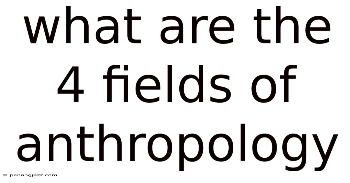 What Are The 4 Fields Of Anthropology