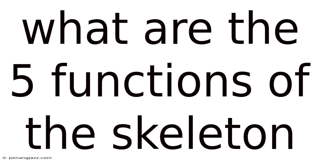 What Are The 5 Functions Of The Skeleton