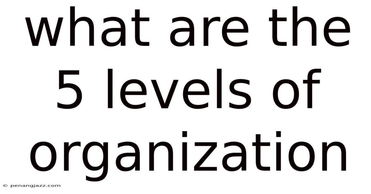 What Are The 5 Levels Of Organization