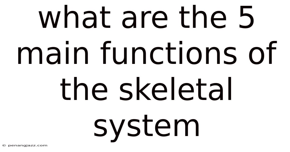 What Are The 5 Main Functions Of The Skeletal System