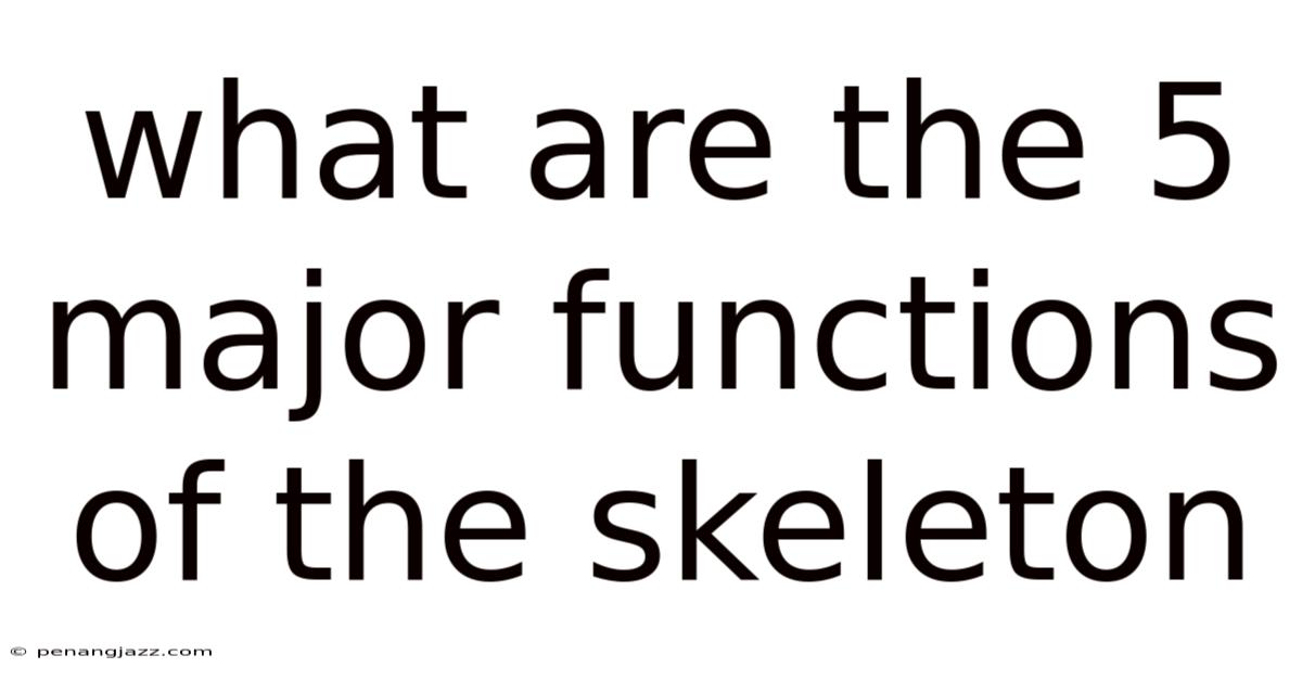What Are The 5 Major Functions Of The Skeleton